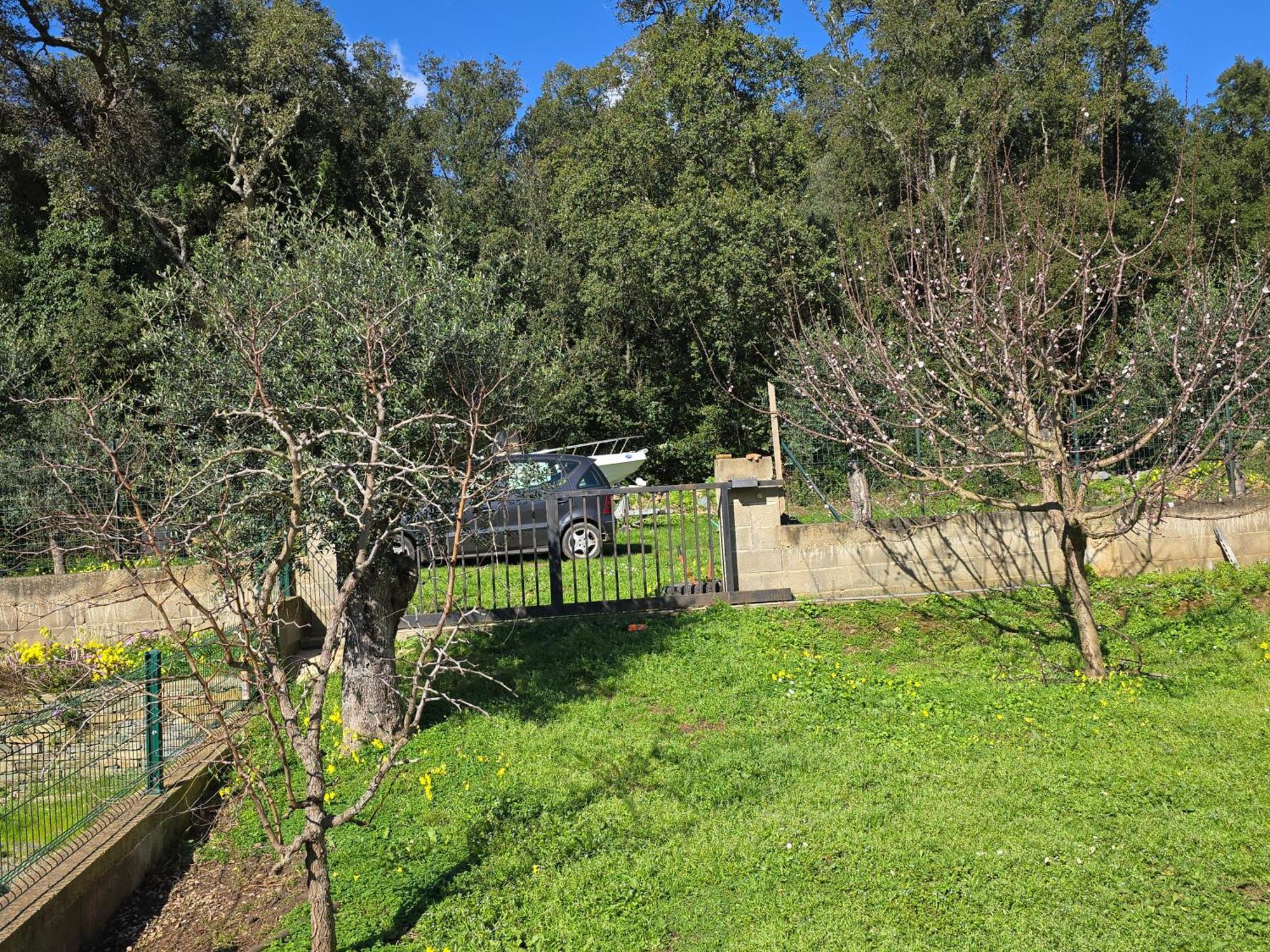 Maison De Village Pietracorbara Exterior photo